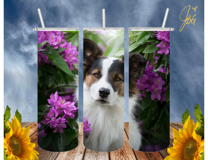 Australian Shepherd Dogs 20 Oz Tumbler with 1 Lid, 2 Straws and 1 Straw Cleaner. FREE SHIPPING. Stainless Steel. Sublimation Tumbler Cup.